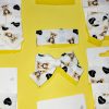 Cute Teddy Bear Bow and Clip Hair Accessories